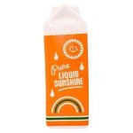 Vintage Flower Vase - Unique Orange Ceramic Decor