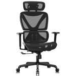 GABRYLLY Office Chair, Large Ergonomic Desk Chairs, High Back Computer Chair with Lumbar Support, 3D Armrest, Breathable Mesh, Adjustable Headrest, Ergo Chair with Tilt Function, Easy Assembly(Black)
