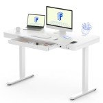 FLEXISPOT EW8 Comhar Electric Standing Desk with Drawers Charging USB A to C Port, Height Adjustable 48" Whole-Piece Quick Install Home Office Computer Laptop Table with Storage (White Top + Frame)