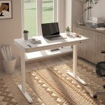 FLEXISPOT EW8 Comhar Electric Standing Desk with Drawers Charging USB A to C Port, Height Adjustable 48" Whole-Piece Quick Install Home Office Computer Laptop Table with Storage (White Top + Frame)
