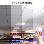 WEIZE (12 Pack 2x4 FT LED Flat Panel Troffer Light, 50W 5000K Back-Lit Drop Ceiling Light, 0-10V Dimmable, 5500lm Lay in Fixture for Office, 3-Lamp F32T8 Fixture Replacement