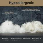 Duck Feather and Down Pillow Set, King Size