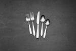 Oneida Mooncrest 45-Piece Flatware Set for 8