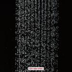 Vero Dual-Function Rain Shower Trim Kit in Bronze