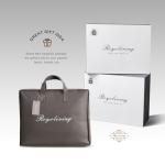 Premium Down Comforter for Queen and Full Beds