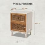 Woven Cane 2-Drawer Accent Nightstand in White