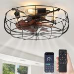 20" Bladeless Caged Ceiling Fan with Remote