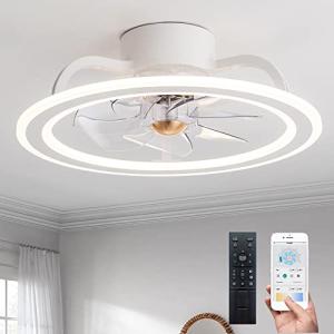 22 Inch Modern LED Ceiling Fan with Remote