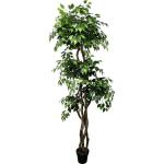 6.5' Tall Ficus Tree - Realistic Faux Plant