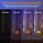 Wake Up Light Alarm Clock with Touch Control