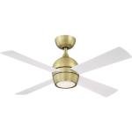 Fanimation Kwad 44" Indoor Ceiling Fan with Light