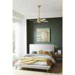 Fanimation Kwad 44" Indoor Ceiling Fan with Light