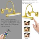 Cordless Rechargeable Picture Light with Remote