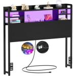 Twin Size Headboard with Storage and LED Light