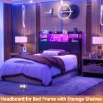 Twin Size Headboard with Storage and LED Light