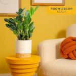 ZZ Plant in Modern Planter - Perfect Gift Idea