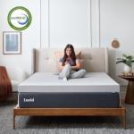 Queen Memory Foam Mattress Topper with Cooling Features