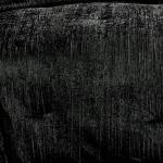 Riverbrook Home Black King Comforter Set