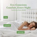 Organic Cotton Queen Percale Sheet Set - White