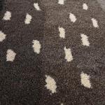 Contemporary Blue Animal Print Wool Area Rug 12x9