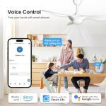 Reiga 52-Inch Modern Ceiling Fan with Remote