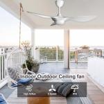 Reiga 52-Inch Modern Ceiling Fan with Remote