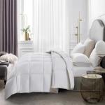 Serta Queen Goose Feather Down Comforter