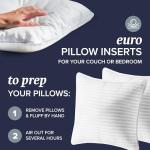 Beckham Hotel Collection Hypoallergenic Euro Pillow Pair