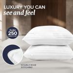 Beckham Hotel Collection Hypoallergenic Euro Pillow Pair