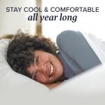 Beckham Hotel Collection Hypoallergenic Euro Pillow Pair