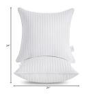 Set of 2 24x24 Decorative Throw Pillow Inserts