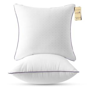 Euro Size Cooling Throw Pillows Set of 2
