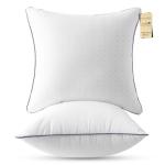 Euro Size Cooling Throw Pillows Set of 2