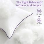 Euro Size Cooling Throw Pillows Set of 2