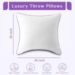 Euro Size Cooling Throw Pillows Set of 2
