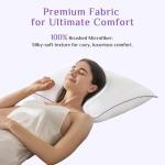 Euro Size Cooling Throw Pillows Set of 2