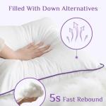 Euro Size Cooling Throw Pillows Set of 2