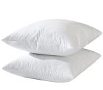 Down Feather Throw Pillow Inserts - Set of 2