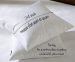 Down Feather Throw Pillow Inserts - Set of 2