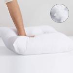 Set of 6 Hypoallergenic 20" Pillow Inserts
