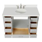 Grey 49" Bathroom Vanity with Quartz Countertop