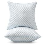 MIULEE 20x20 Memory Foam Pillow Inserts Set of 2