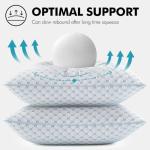 MIULEE 20x20 Memory Foam Pillow Inserts Set of 2