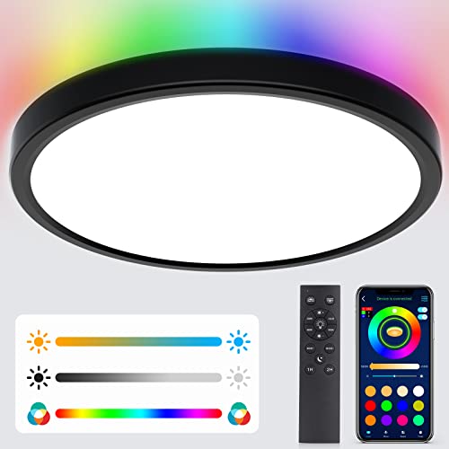 KEPLUG Flush Mount Ceiling Light 12Inch,24W RGB Ceiling Light Fixture with Remote Control Bluetooth App,Dimmable Led Ceiling Light 3000K-6500K,Round Close to Ceiling Lights Bedroom Kitchen Hallway
