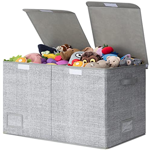 GRANNY SAYS Extra Large Storage Boxes with Lid, Toy Chests & Organizers, Bin Storage Organizer, Dust-proof Storage Container, Gray Storage Bins with Lid for Organizing Closet Shelves, 1-Pack