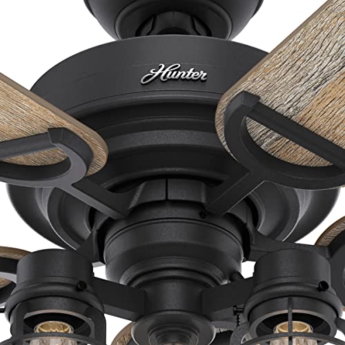 Hunter Fan Company 50409 Hunter Rustic 52 Inch Starklake Indoor or Outdoor Ceiling Fan with 3 LED Edison Bulbs, Pull Chain Control, and Quiet 3 Speed Motor, 52, Natural Iron finish