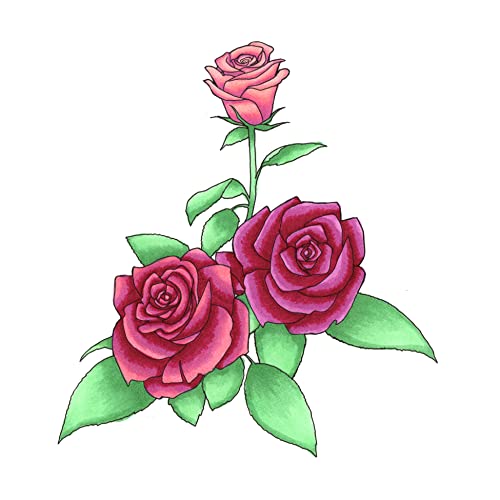 Copic Sketch, Alcohol Markers, 6pc Set, Floral Favorites 1