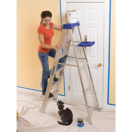 Louisville Ladder AS2108 Step Stepladder, 8-Feet, 8 Ft