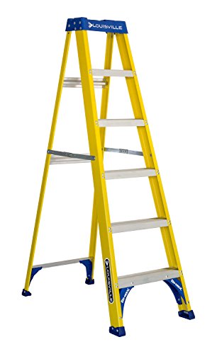 Louisville Ladder FS2006 Step Stepladder, 6