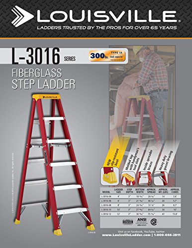 Louisville Ladder L-3016-10 300-Pound Duty Rating Fiberglass Stepladder, 10-Feet